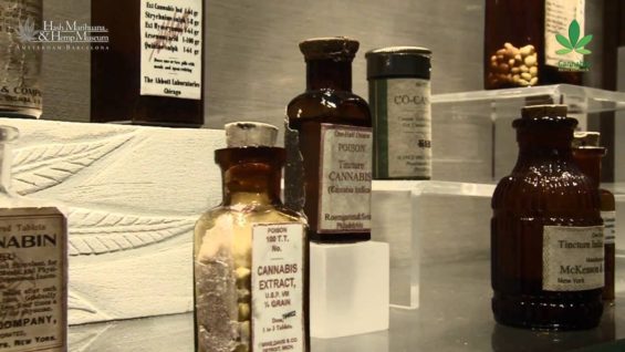Did you know about the Golden Age of medicinal cannabis? | Canna History HD