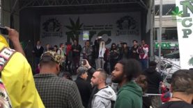 Interview Jack Cole from LEAP – NYC Cannabis Parade 2016