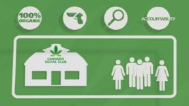 Cannabis Social Club, how does it work?