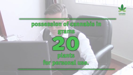 Colombia Gold: Cannabis Politics | Part 1 | Cannabis News Network