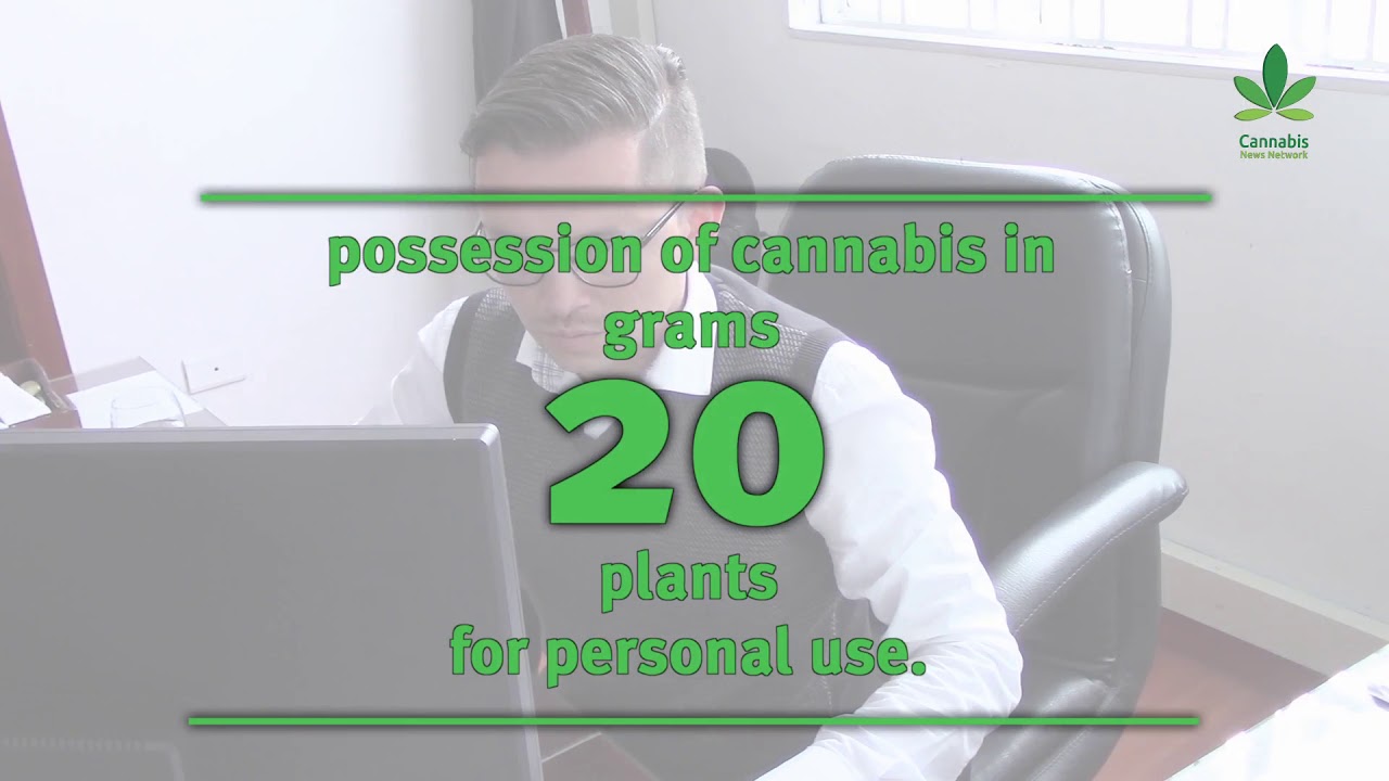 Colombia Gold: Cannabis Politics | Part 1 | Cannabis News Network