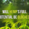 potential of hemp