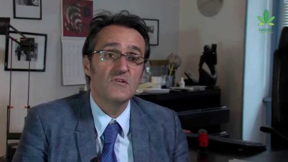 50 years of Prohibition in France is an utter failure