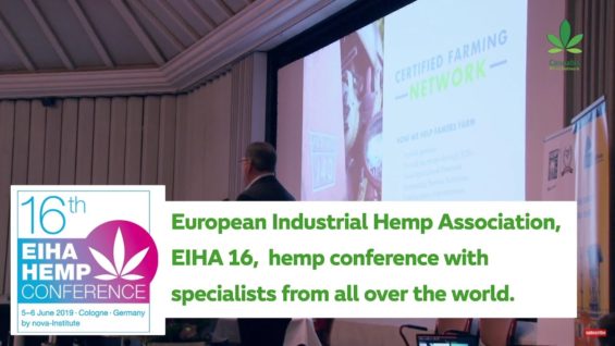 Inside the world’s oldest hemp conference EIHA16: ‘CBD is a global Wild West’