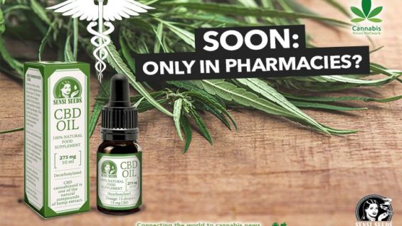 CBD products in the EU could soon only be available in pharmacies. Is it too late to change?