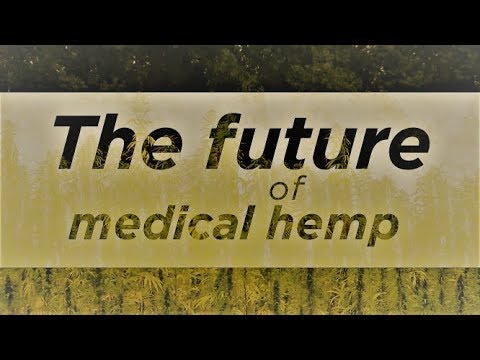 The future of medical hemp